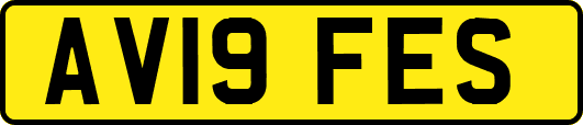 AV19FES