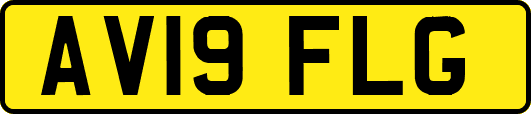 AV19FLG