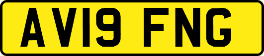 AV19FNG