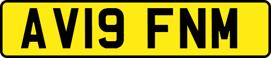 AV19FNM