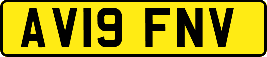 AV19FNV