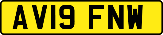 AV19FNW