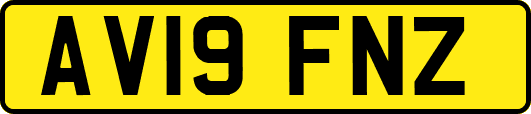 AV19FNZ