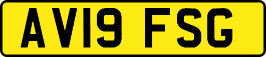 AV19FSG