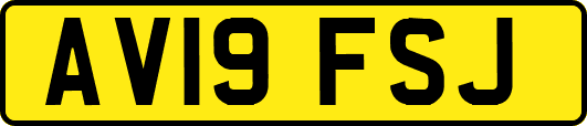 AV19FSJ