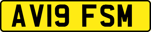 AV19FSM