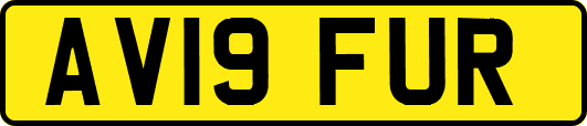 AV19FUR