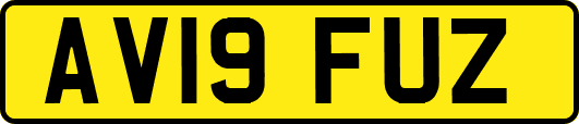 AV19FUZ