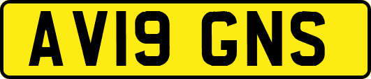 AV19GNS