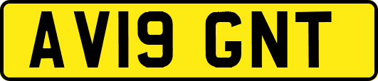 AV19GNT
