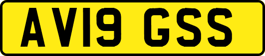 AV19GSS