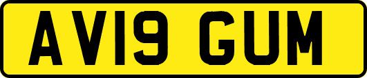 AV19GUM
