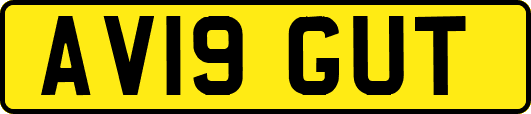 AV19GUT