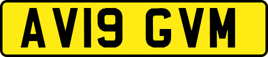 AV19GVM