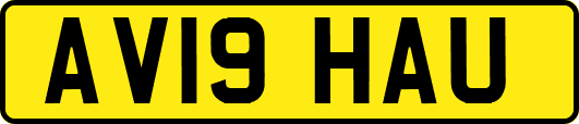 AV19HAU