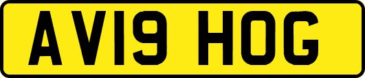 AV19HOG