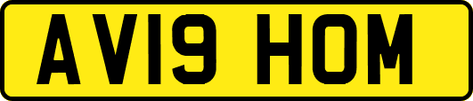 AV19HOM