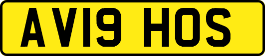 AV19HOS