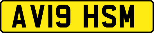 AV19HSM