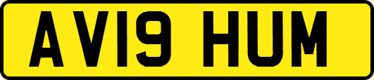 AV19HUM