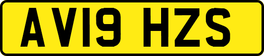 AV19HZS