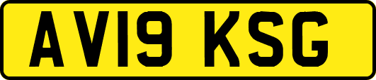 AV19KSG