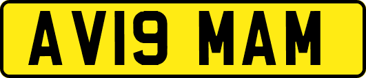 AV19MAM