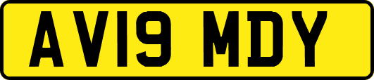AV19MDY