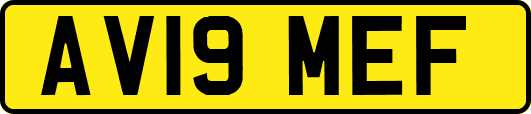 AV19MEF