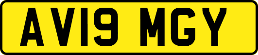AV19MGY