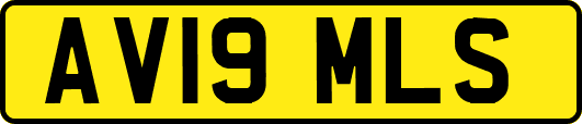 AV19MLS