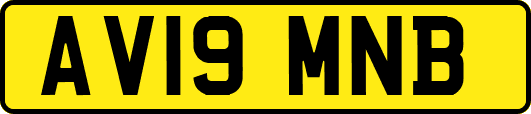 AV19MNB