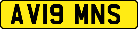 AV19MNS