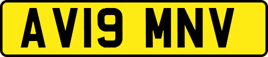 AV19MNV