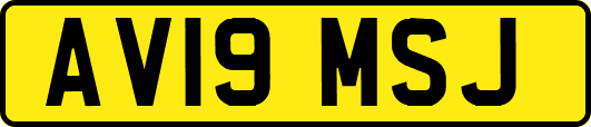 AV19MSJ
