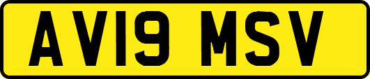 AV19MSV