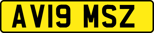 AV19MSZ
