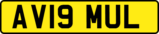 AV19MUL