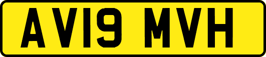 AV19MVH