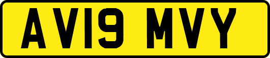 AV19MVY