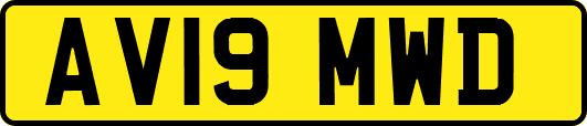 AV19MWD