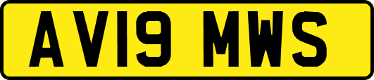AV19MWS