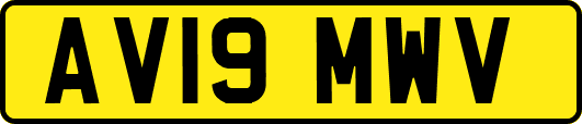 AV19MWV