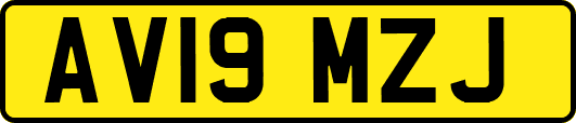 AV19MZJ