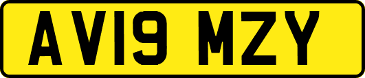 AV19MZY