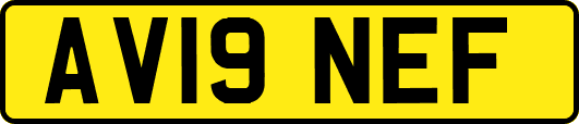 AV19NEF