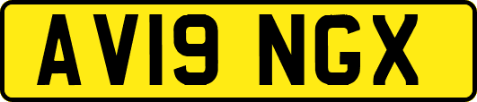 AV19NGX