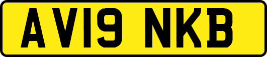 AV19NKB