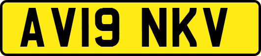 AV19NKV