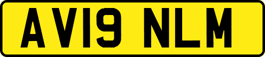 AV19NLM